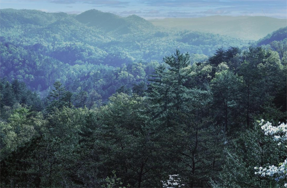 Ohio land offer review for How to Sell Inherited Land in Ohio
