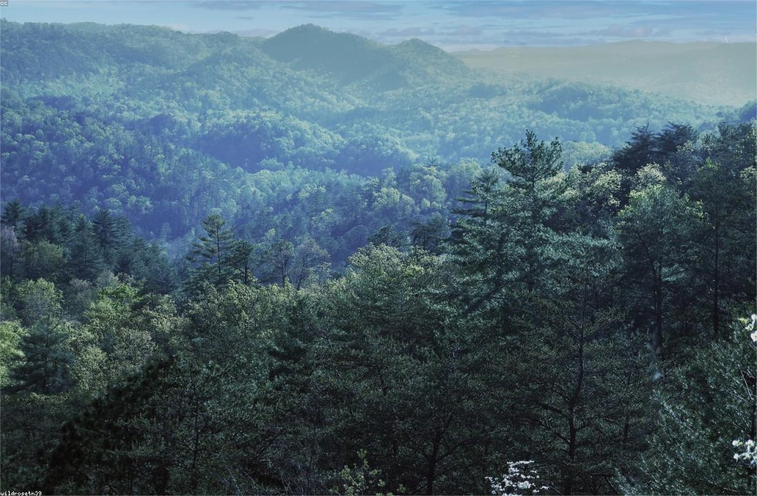 Ohio land parcel records for Legal Documents for Selling Land in Ohio