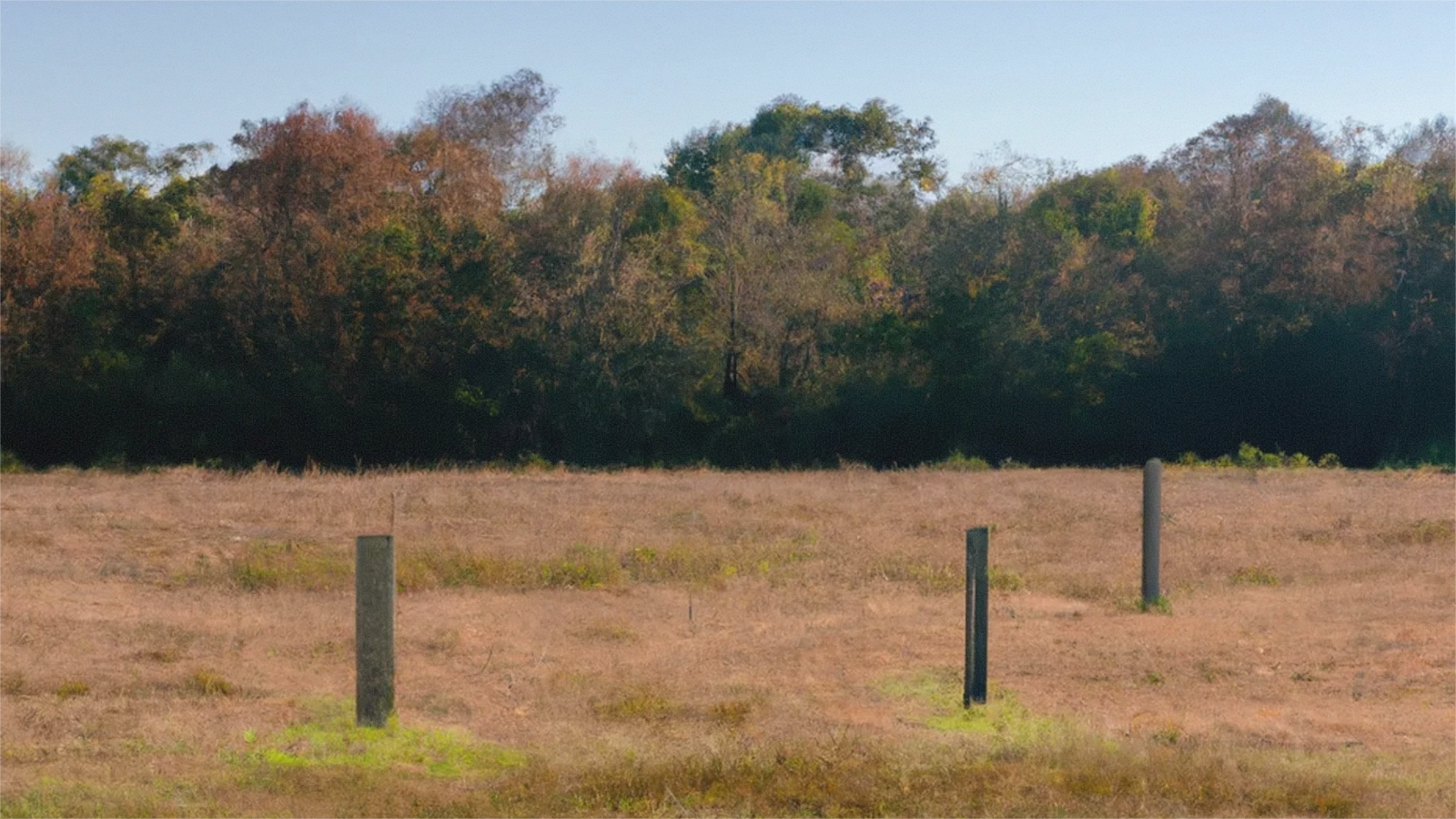 Open Ohio land access road near Springfield